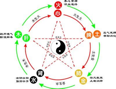 燕五行|燕字的五行属什么